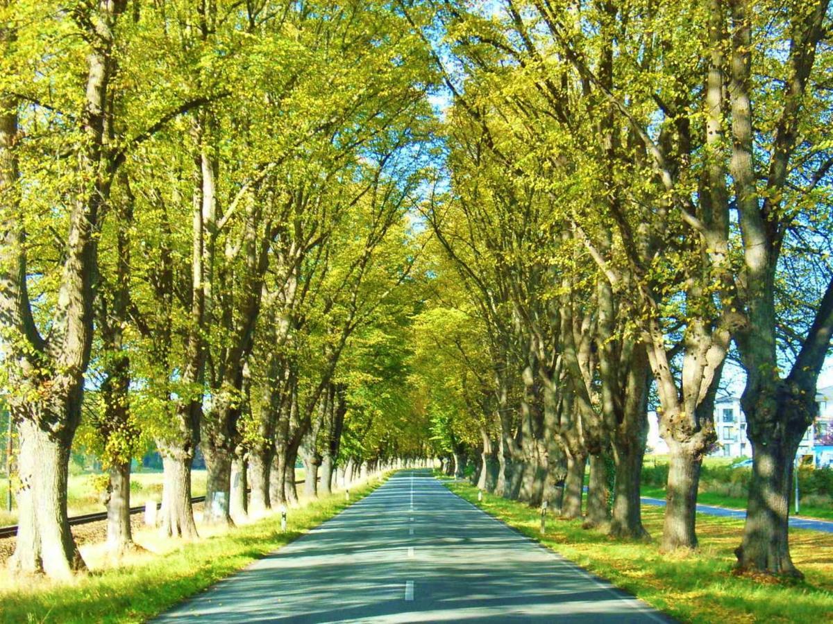 巴特多布兰 安德尔林登纳勒奥斯特旅馆酒店 外观 照片